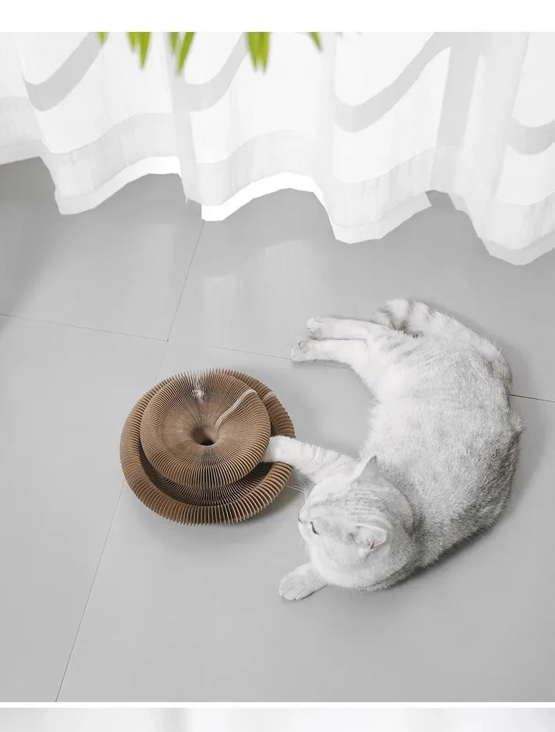 Cat scratch board, durable and non shedding toy, self entertaining and self entertaining corrugated paper cat scratch board