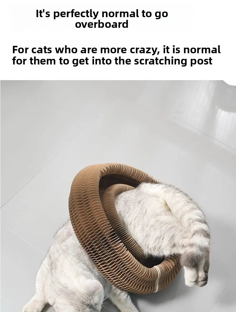 Cat scratch board, durable and non shedding toy, self entertaining and self entertaining corrugated paper cat scratch board