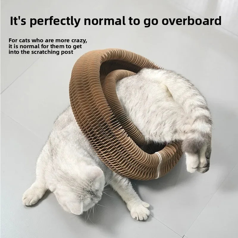 Cat scratch board, durable and non shedding toy, self entertaining and self entertaining corrugated paper cat scratch board