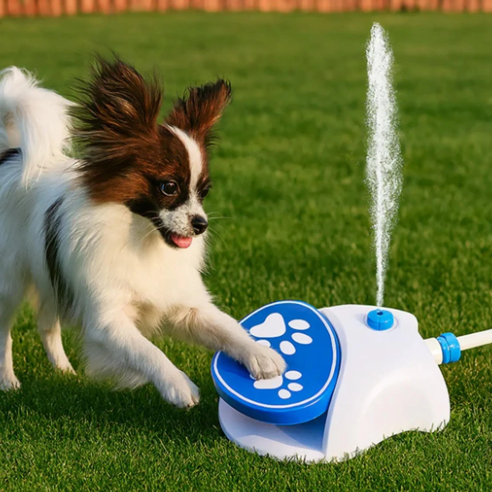 2 Styles Outdoor Dog Waterer, Foot Operated Dog Waterer, Dog Drinking Nozzle, Includes Connecting Hose For Dog Hydration